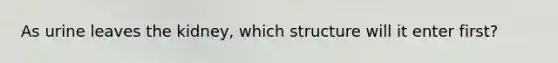 As urine leaves the kidney, which structure will it enter first?