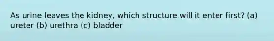 As urine leaves the kidney, which structure will it enter first? (a) ureter (b) urethra (c) bladder