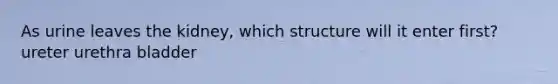 As urine leaves the kidney, which structure will it enter first? ureter urethra bladder