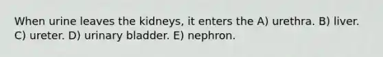 When urine leaves the kidneys, it enters the A) urethra. B) liver. C) ureter. D) <a href='https://www.questionai.com/knowledge/kb9SdfFdD9-urinary-bladder' class='anchor-knowledge'>urinary bladder</a>. E) nephron.