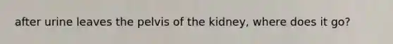 after urine leaves the pelvis of the kidney, where does it go?