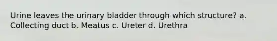 Urine leaves the urinary bladder through which structure? a. Collecting duct b. Meatus c. Ureter d. Urethra