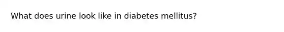 What does urine look like in diabetes mellitus?