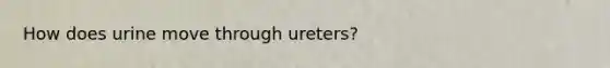 How does urine move through ureters?