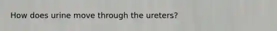 How does urine move through the ureters?