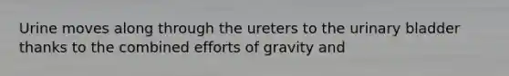 Urine moves along through the ureters to the urinary bladder thanks to the combined efforts of gravity and