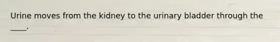 Urine moves from the kidney to the <a href='https://www.questionai.com/knowledge/kb9SdfFdD9-urinary-bladder' class='anchor-knowledge'>urinary bladder</a> through the ____.