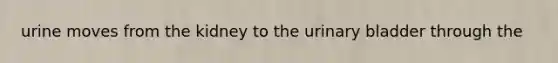 urine moves from the kidney to the <a href='https://www.questionai.com/knowledge/kb9SdfFdD9-urinary-bladder' class='anchor-knowledge'>urinary bladder</a> through the