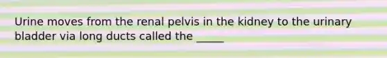 Urine moves from the renal pelvis in the kidney to the <a href='https://www.questionai.com/knowledge/kb9SdfFdD9-urinary-bladder' class='anchor-knowledge'>urinary bladder</a> via long ducts called the _____