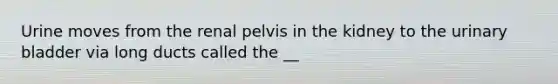 Urine moves from the renal pelvis in the kidney to the <a href='https://www.questionai.com/knowledge/kb9SdfFdD9-urinary-bladder' class='anchor-knowledge'>urinary bladder</a> via long ducts called the __