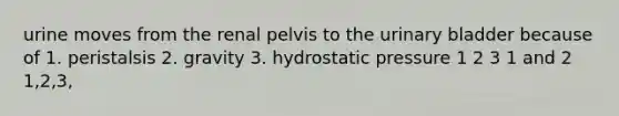 urine moves from the renal pelvis to the <a href='https://www.questionai.com/knowledge/kb9SdfFdD9-urinary-bladder' class='anchor-knowledge'>urinary bladder</a> because of 1. peristalsis 2. gravity 3. hydrostatic pressure 1 2 3 1 and 2 1,2,3,