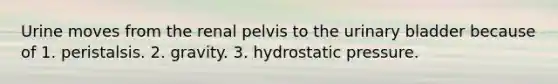 Urine moves from the renal pelvis to the <a href='https://www.questionai.com/knowledge/kb9SdfFdD9-urinary-bladder' class='anchor-knowledge'>urinary bladder</a> because of 1. peristalsis. 2. gravity. 3. hydrostatic pressure.