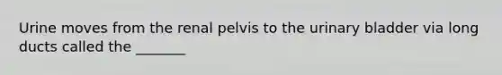 Urine moves from the renal pelvis to the urinary bladder via long ducts called the _______