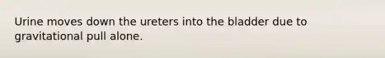 Urine moves down the ureters into the bladder due to gravitational pull alone.