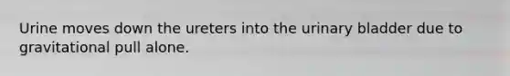 Urine moves down the ureters into the urinary bladder due to gravitational pull alone.