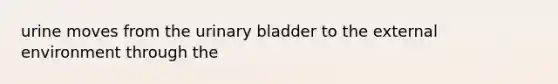 urine moves from the <a href='https://www.questionai.com/knowledge/kb9SdfFdD9-urinary-bladder' class='anchor-knowledge'>urinary bladder</a> to <a href='https://www.questionai.com/knowledge/kpkoUX83Zl-the-external-environment' class='anchor-knowledge'>the external environment</a> through the