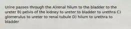 Urine passes through the A)renal hilum to the bladder to the ureter B) pelvis of the kidney to ureter to bladder to urethra C) glomerulus to ureter to renal tubule D) hilum to urethra to bladder