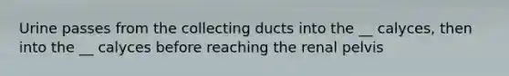 Urine passes from the collecting ducts into the __ calyces, then into the __ calyces before reaching the renal pelvis