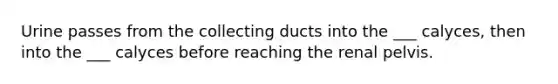 Urine passes from the collecting ducts into the ___ calyces, then into the ___ calyces before reaching the renal pelvis.