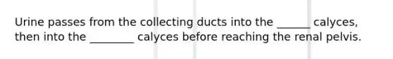 Urine passes from the collecting ducts into the ______ calyces, then into the ________ calyces before reaching the renal pelvis.