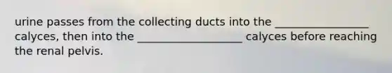 urine passes from the collecting ducts into the _________________ calyces, then into the ___________________ calyces before reaching the renal pelvis.