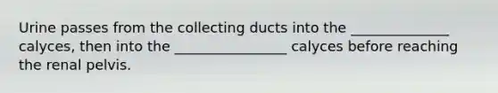 Urine passes from the collecting ducts into the ______________ calyces, then into the ________________ calyces before reaching the renal pelvis.