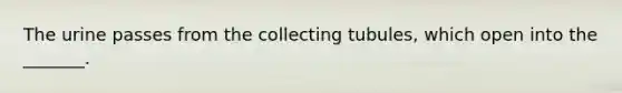 The urine passes from the collecting tubules, which open into the _______.