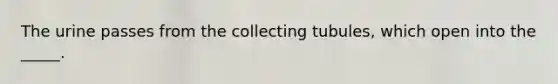 The urine passes from the collecting tubules, which open into the _____.