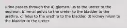 Urine passes through the a) glomerulus to the ureter to the nephron. b) renal pelvis to the ureter to the bladder to the urethra. c) hilus to the urethra to the bladder. d) kidney hilum to the bladder to the ureter.