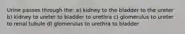 Urine passes through the: a) kidney to the bladder to the ureter b) kidney to ureter to bladder to urethra c) glomerulus to ureter to renal tubule d) glomerulus to urethra to bladder