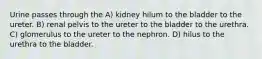 Urine passes through the A) kidney hilum to the bladder to the ureter. B) renal pelvis to the ureter to the bladder to the urethra. C) glomerulus to the ureter to the nephron. D) hilus to the urethra to the bladder.