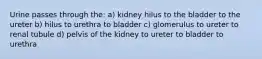 Urine passes through the: a) kidney hilus to the bladder to the ureter b) hilus to urethra to bladder c) glomerulus to ureter to renal tubule d) pelvis of the kidney to ureter to bladder to urethra