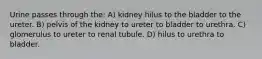 Urine passes through the: A) kidney hilus to the bladder to the ureter. B) pelvis of the kidney to ureter to bladder to urethra. C) glomerulus to ureter to renal tubule. D) hilus to urethra to bladder.