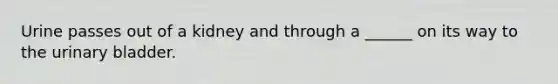 Urine passes out of a kidney and through a ______ on its way to the <a href='https://www.questionai.com/knowledge/kb9SdfFdD9-urinary-bladder' class='anchor-knowledge'>urinary bladder</a>.