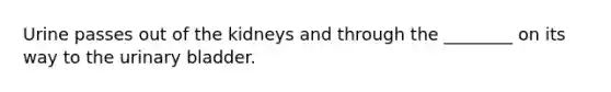 Urine passes out of the kidneys and through the ________ on its way to the urinary bladder.