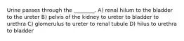 Urine passes through the ________. A) renal hilum to the bladder to the ureter B) pelvis of the kidney to ureter to bladder to urethra C) glomerulus to ureter to renal tubule D) hilus to urethra to bladder