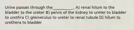 Urine passes through the___________. A) renal hilum to the bladder to the ureter B) pelvis of the kidney to ureter to bladder to urethra C) glomerulus to ureter to renal tubule D) hilum to urethera to bladder