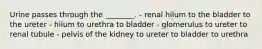 Urine passes through the ________. - renal hilum to the bladder to the ureter - hilum to urethra to bladder - glomerulus to ureter to renal tubule - pelvis of the kidney to ureter to bladder to urethra