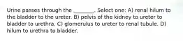 Urine passes through the ________. Select one: A) renal hilum to the bladder to the ureter. B) pelvis of the kidney to ureter to bladder to urethra. C) glomerulus to ureter to renal tubule. D) hilum to urethra to bladder.