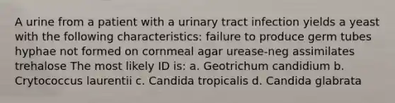 A urine from a patient with a urinary tract infection yields a yeast with the following characteristics: failure to produce germ tubes hyphae not formed on cornmeal agar urease-neg assimilates trehalose The most likely ID is: a. Geotrichum candidium b. Crytococcus laurentii c. Candida tropicalis d. Candida glabrata