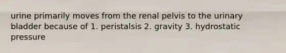 urine primarily moves from the renal pelvis to the urinary bladder because of 1. peristalsis 2. gravity 3. hydrostatic pressure