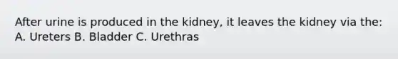 After urine is produced in the kidney, it leaves the kidney via the: A. Ureters B. Bladder C. Urethras