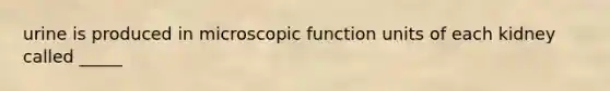 urine is produced in microscopic function units of each kidney called _____