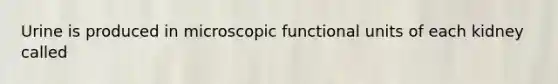 Urine is produced in microscopic functional units of each kidney called