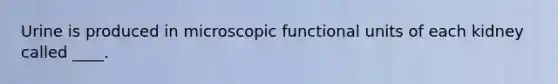 Urine is produced in microscopic functional units of each kidney called ____.