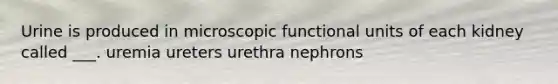 Urine is produced in microscopic functional units of each kidney called ___. uremia ureters urethra nephrons