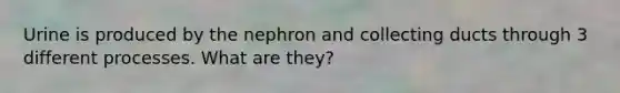 Urine is produced by the nephron and collecting ducts through 3 different processes. What are they?