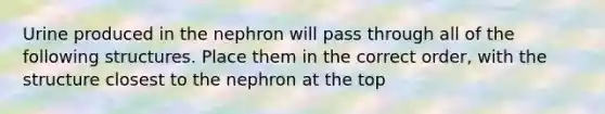 Urine produced in the nephron will pass through all of the following structures. Place them in the correct order, with the structure closest to the nephron at the top