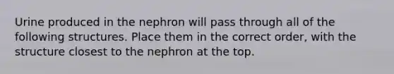 Urine produced in the nephron will pass through all of the following structures. Place them in the correct order, with the structure closest to the nephron at the top.