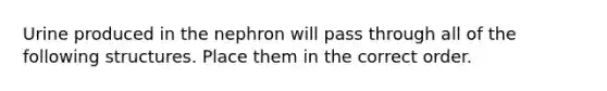 Urine produced in the nephron will pass through all of the following structures. Place them in the correct order.